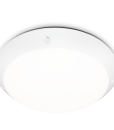 1485251749_0_1485247417_leokv