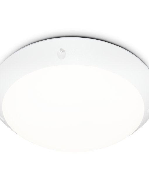 1485251749_0_1485247417_leokv
