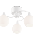 1485251779_0_1485247424_irik3v